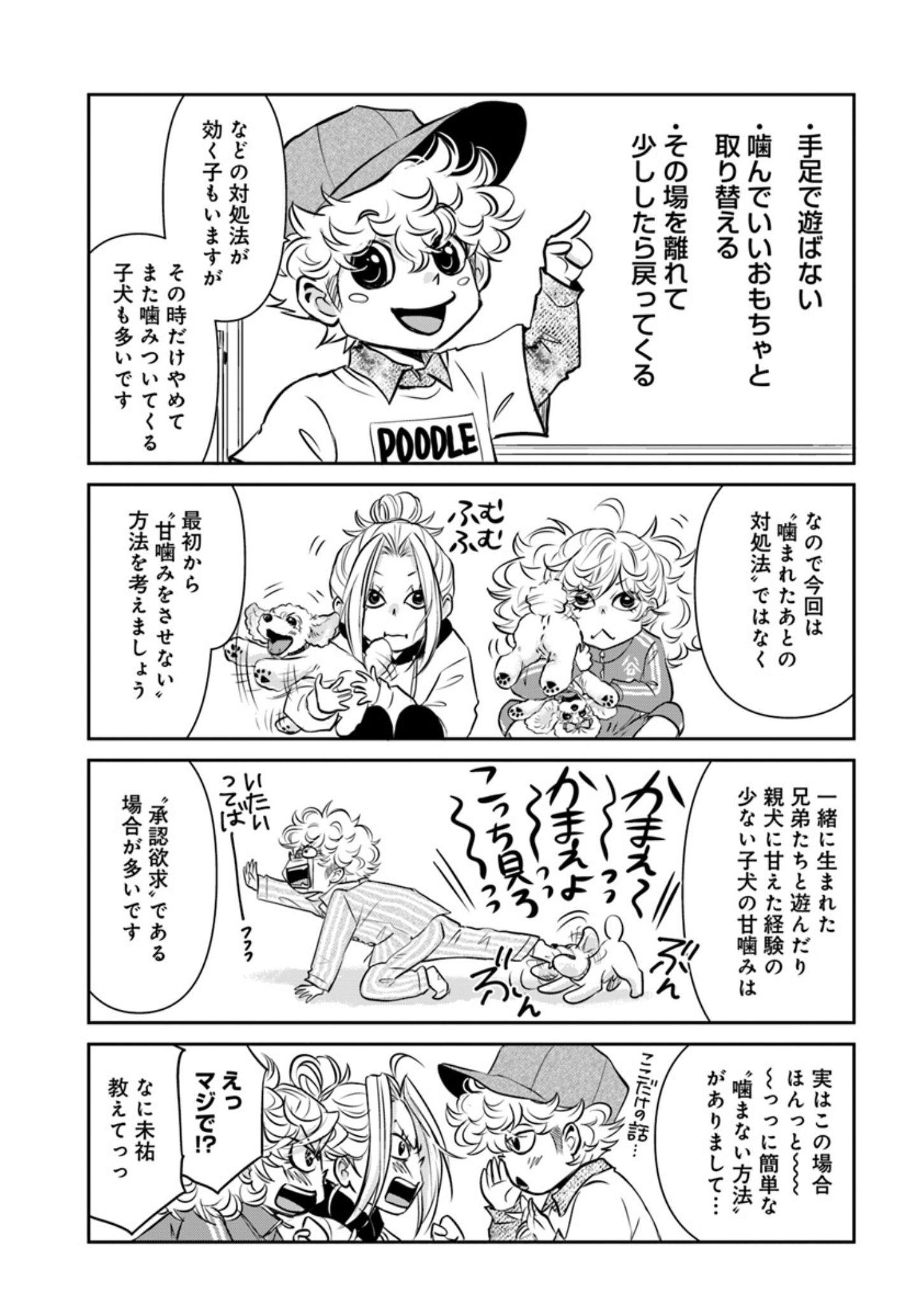 子犬でよくある問題行動のお悩み『DOG SIGNAL（ドッグシグナル）』49話目2/4