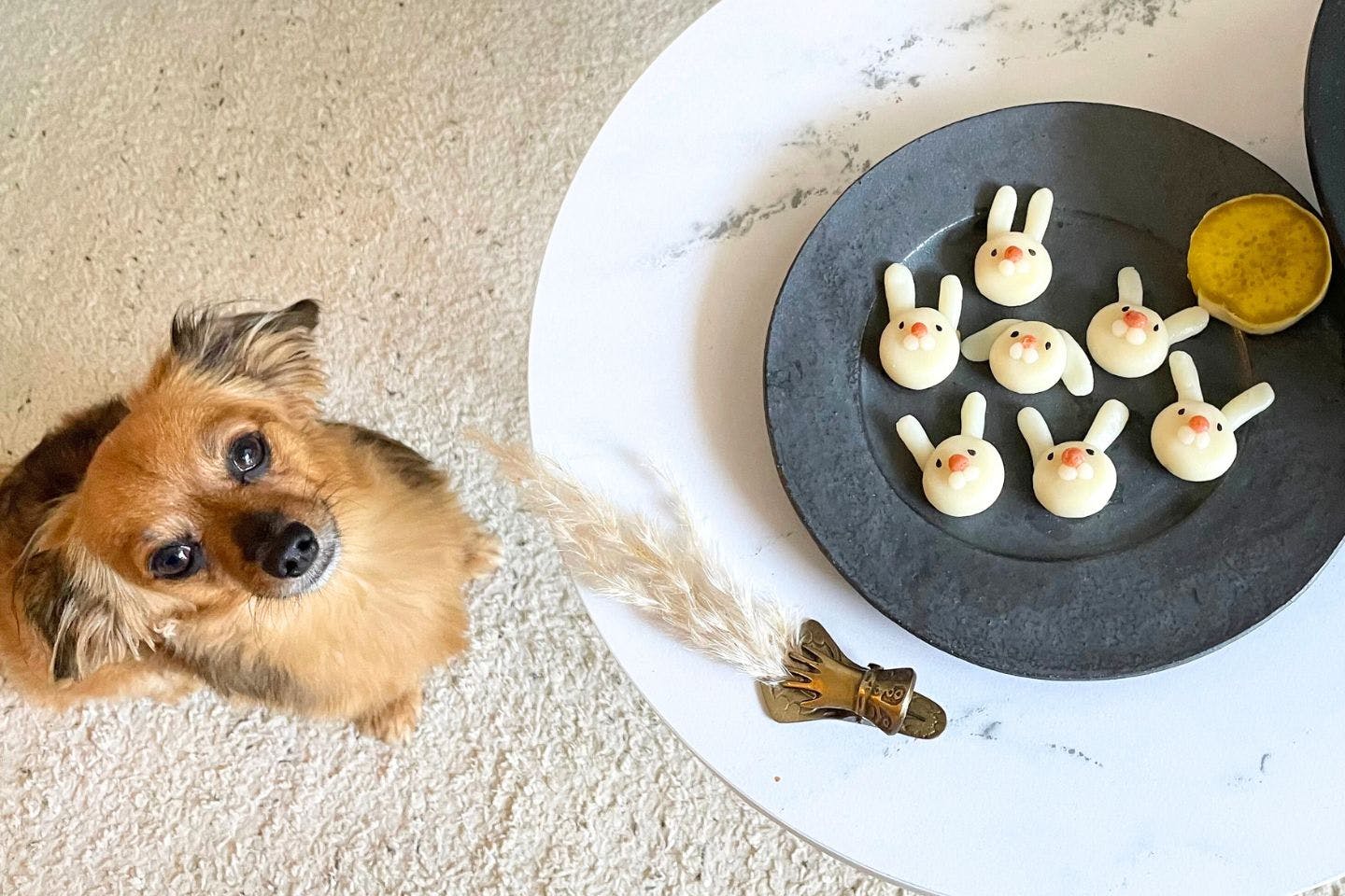 【材料】米粉と豆腐で作る、愛犬用「お月見うさぎ団子」