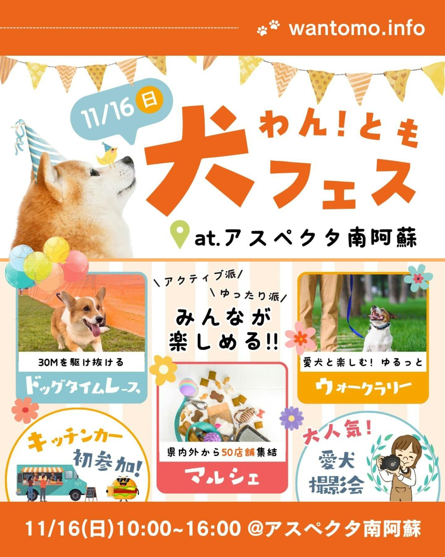 【2025/11/16】第3回ワン！とも犬フェス 2025@アスペクタ（熊本）