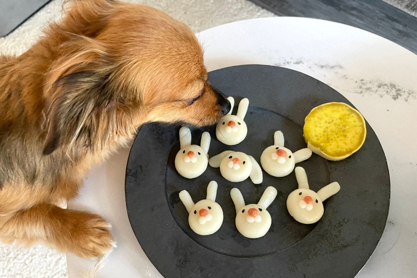米粉と豆腐で簡単！ 白玉粉・砂糖なしで作る、愛犬用「お月見うさぎ団子」【カインズ愛犬レシピ】