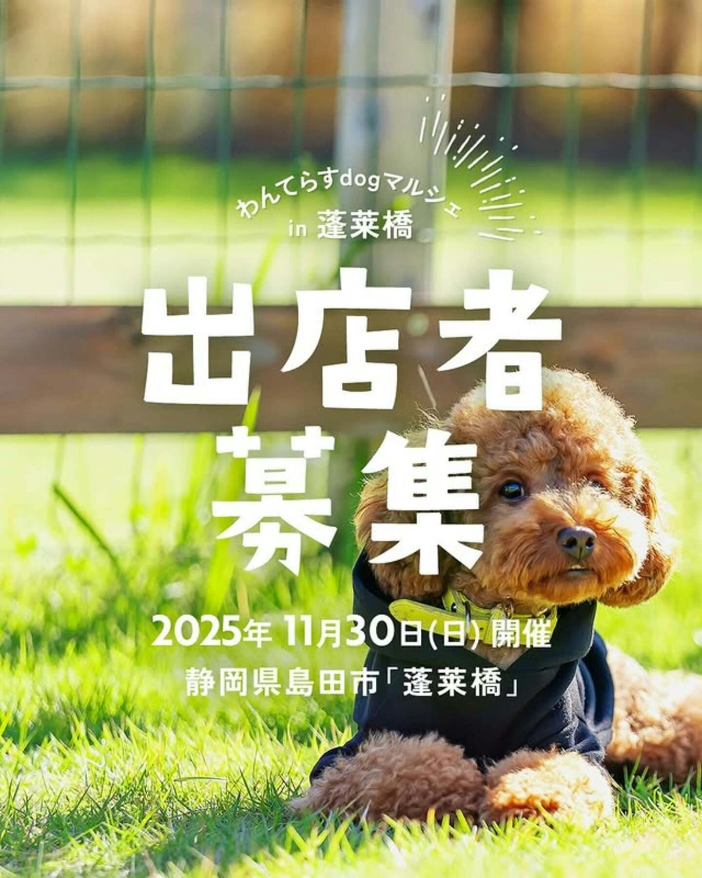 【2025/11/30】わんてらす dog＆foodマルシェ in島田 2025（静岡）