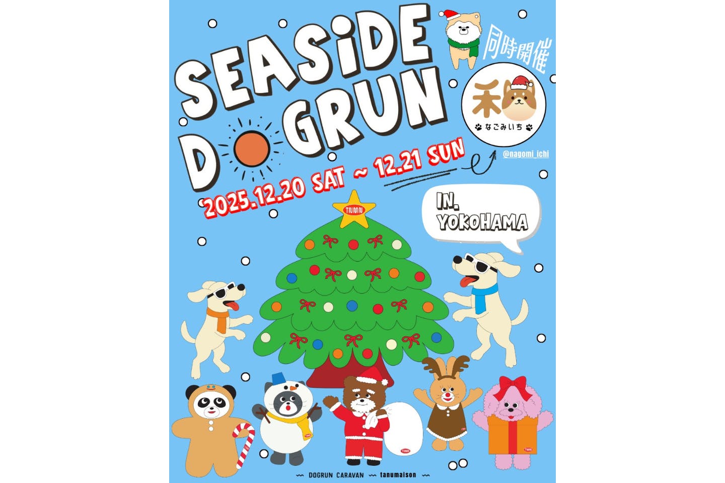 SEASIDE DOGRUN 2025 WINTER SEASIDE DOGRUN 2025 WINTER