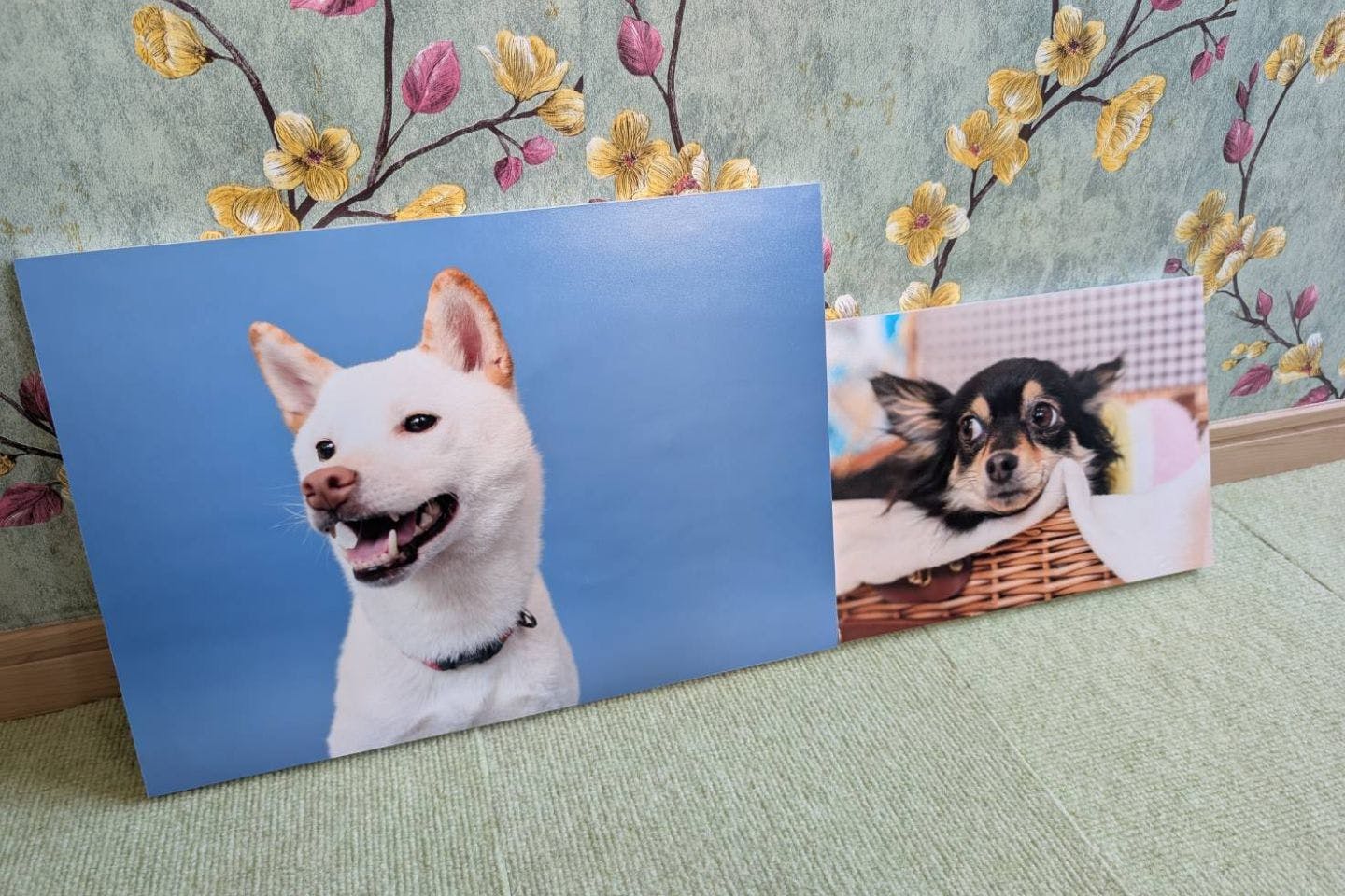実物は想像以上! 届いた愛犬のウッドパネルを飾ってみた 実物は想像以上! 届いた愛犬のウッドパネルを飾ってみた