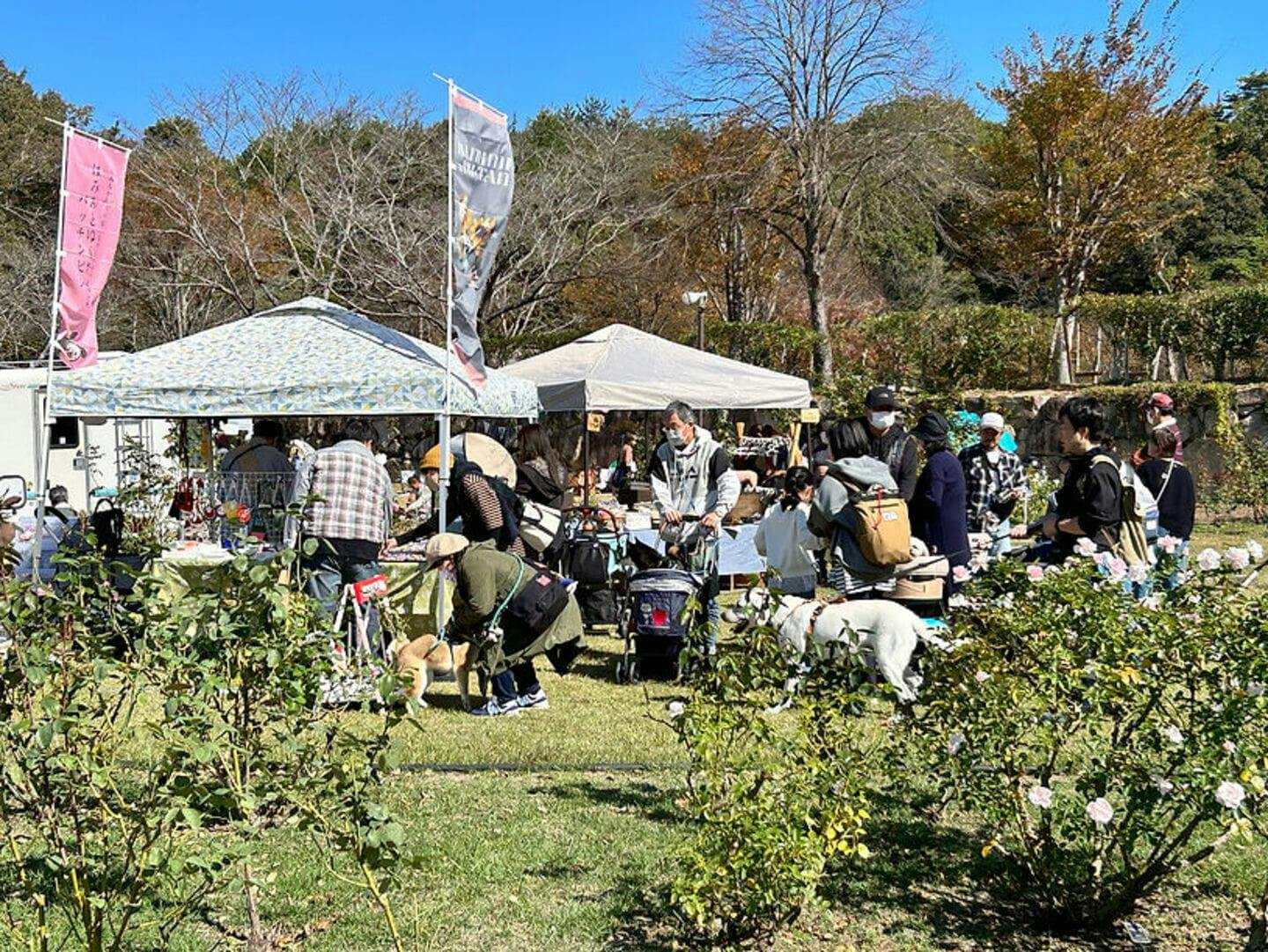 【2025/10/26】しっぽいち vol.21(岡山) 【2025/10/26】しっぽいち vol.21(岡山)