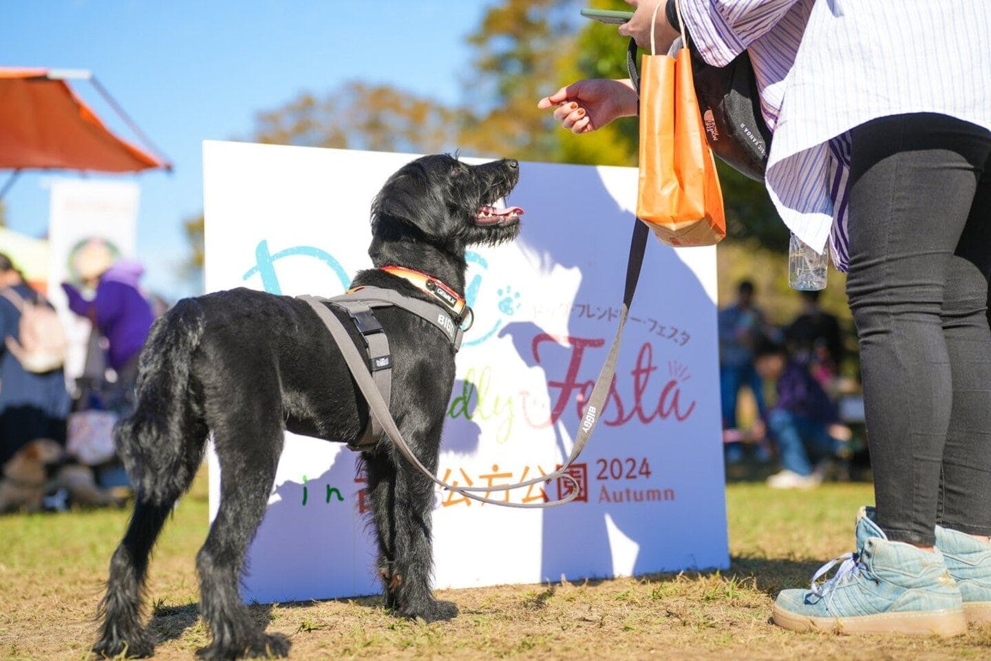 【2025/11/22・11/23】ドッグフレンドリーフェスタ in 古河公方公園 2025 AUTUMN(茨城) 【2025/11/22・11/23】ドッグフレンドリーフェスタ in 古河公方公園 2025 AUTUMN(茨城)