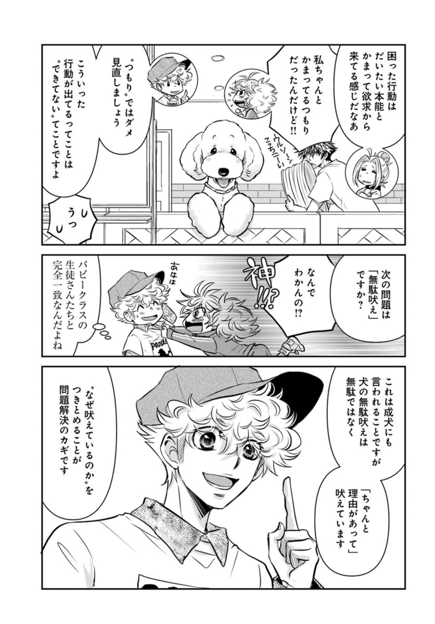 子犬でよくある問題行動のお悩み『DOG SIGNAL（ドッグシグナル）』49話目2/4