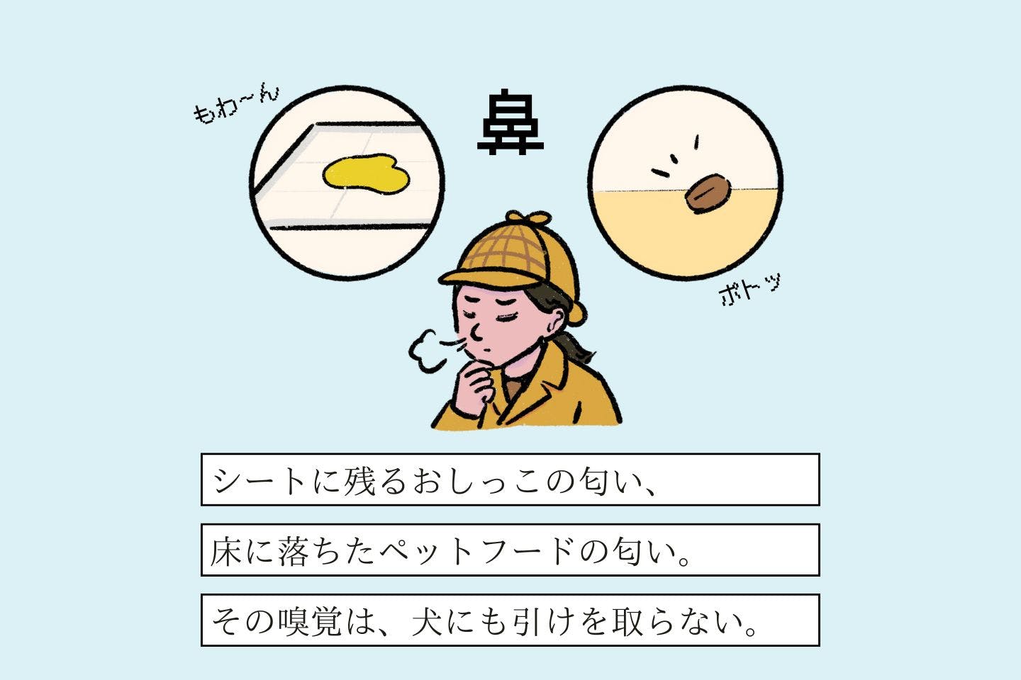 メイタンテイヌシの生態《変な飼いヌシ図鑑066》