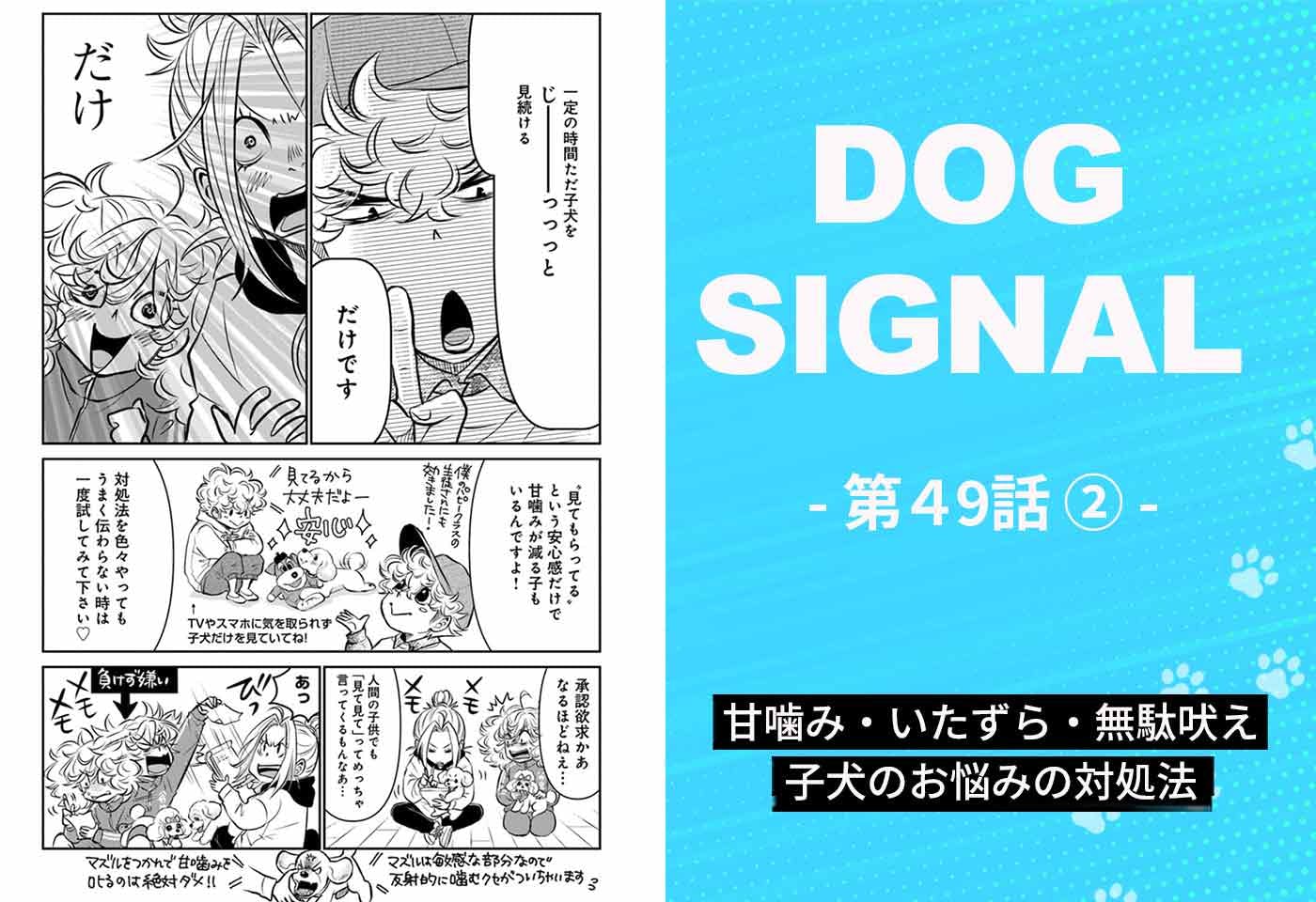漫画『DOG SIGNAL(ドッグシグナル)』49話目2/4 子犬の問題行動の対処法
