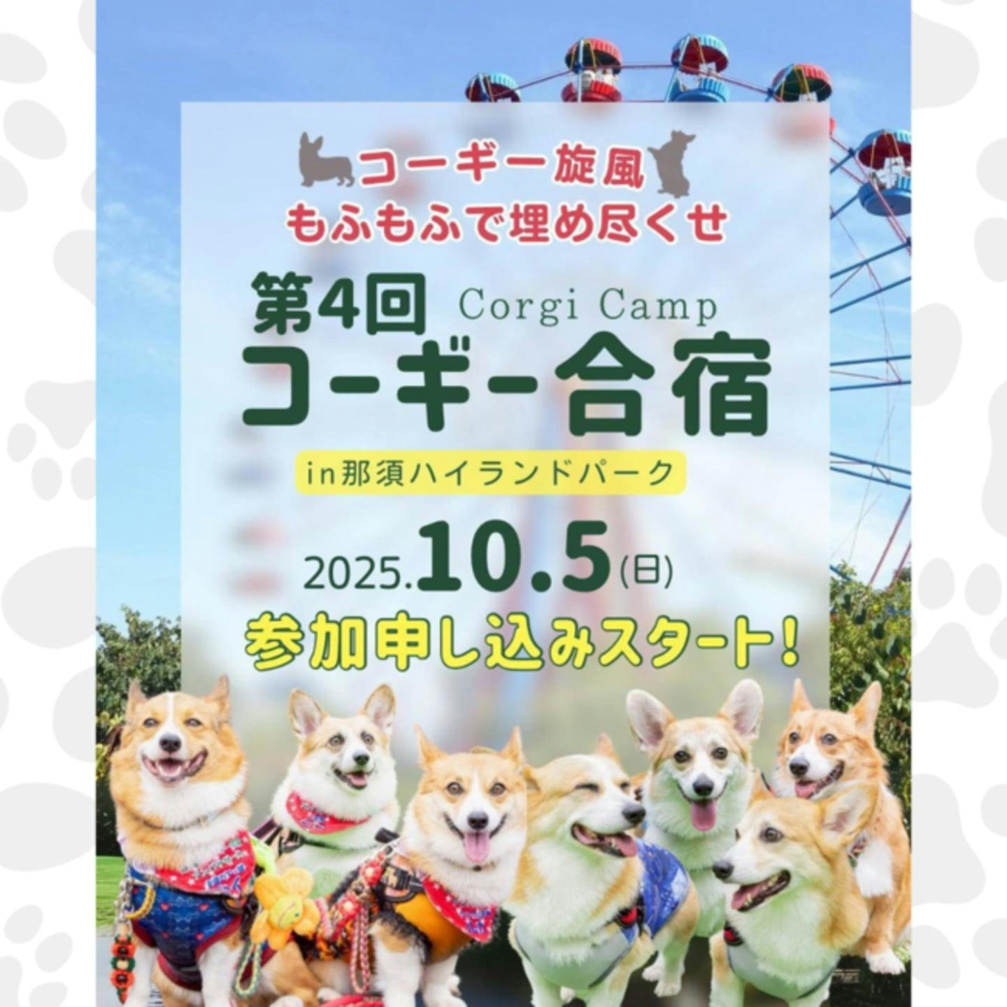 【2025/10/5】第4回コーギー合宿 in 那須ハイランドパーク(栃木) 【2025/10/5】第4回コーギー合宿 in 那須ハイランドパーク(栃木)