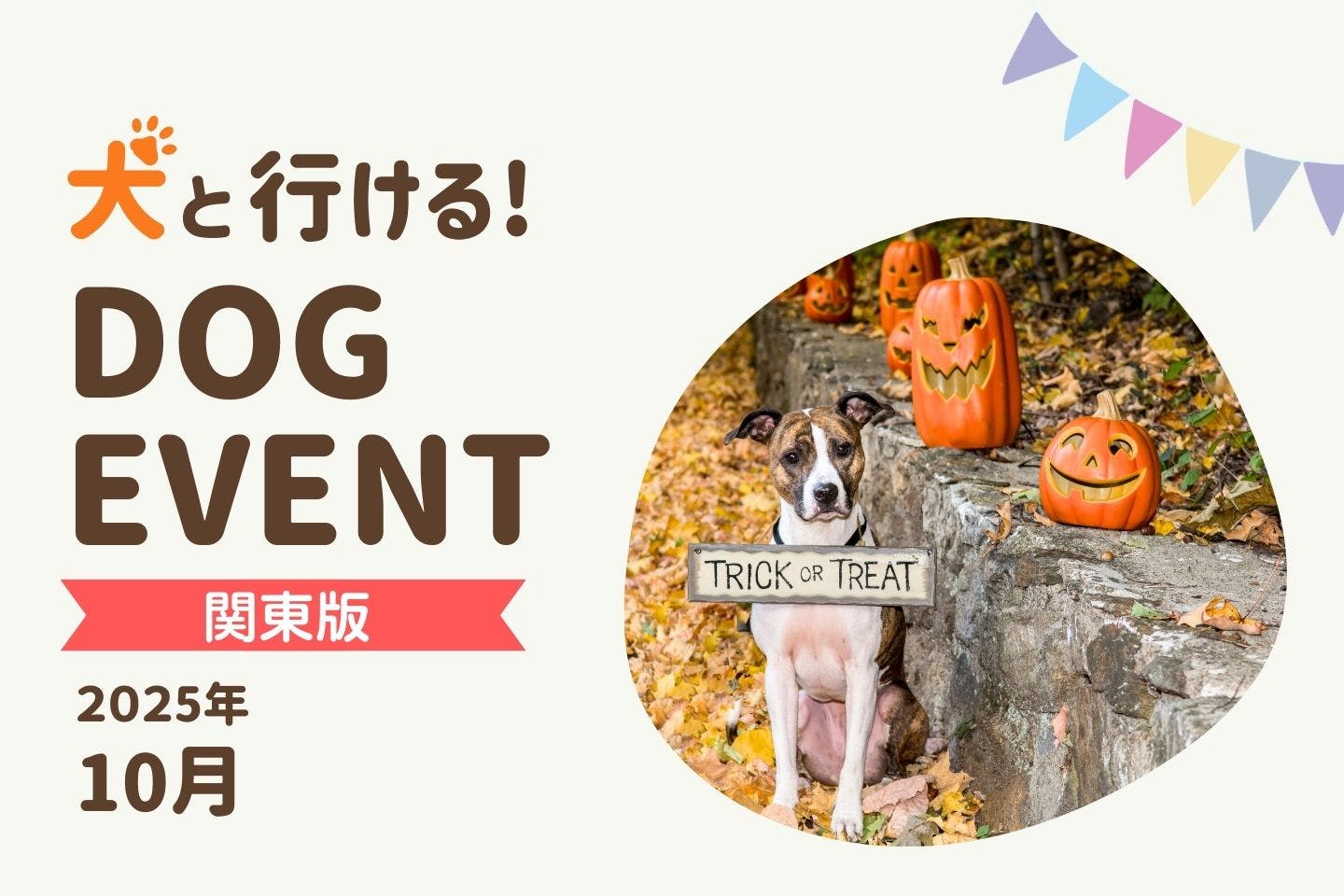 【2025年10月】愛犬と一緒に楽しめる関東のドッグイベント