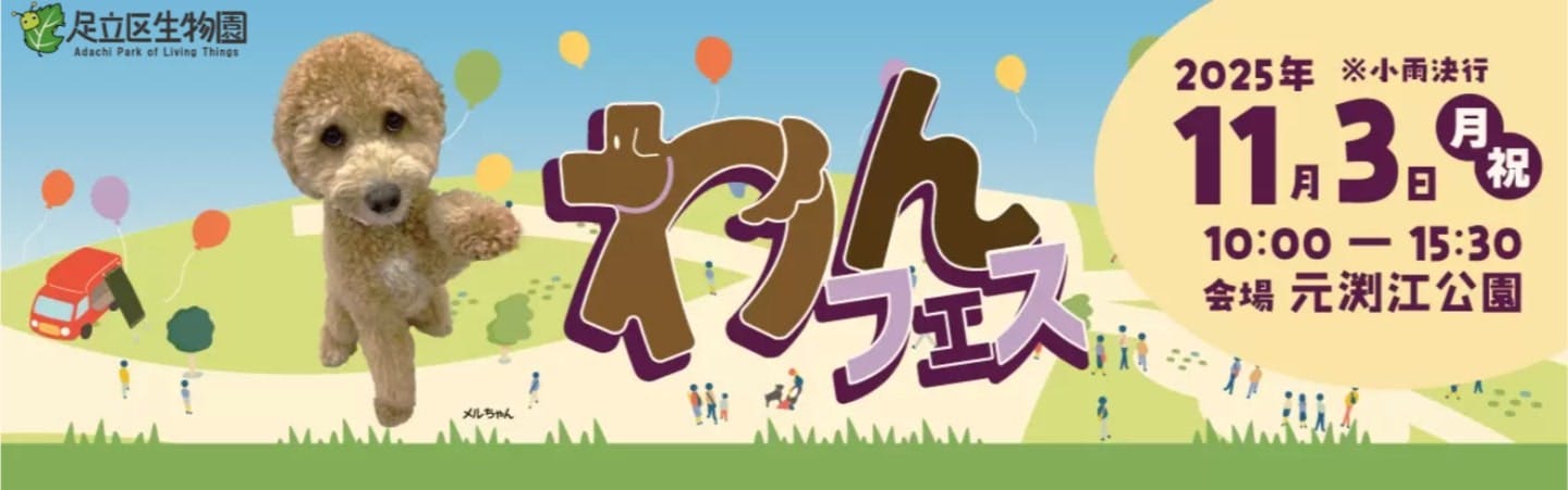 【2025/11/3】わんフェス(東京) 【2025/11/3】わんフェス(東京)