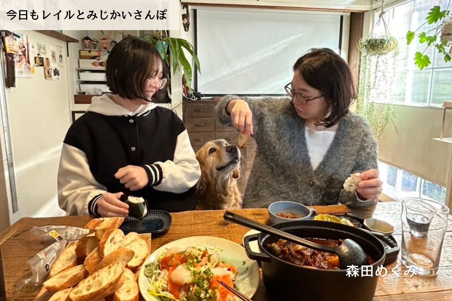 【連載】10年かかって甘えてくれるようになりました｜森田めぐみ｜今日もレイルとみじかいさんぽ
