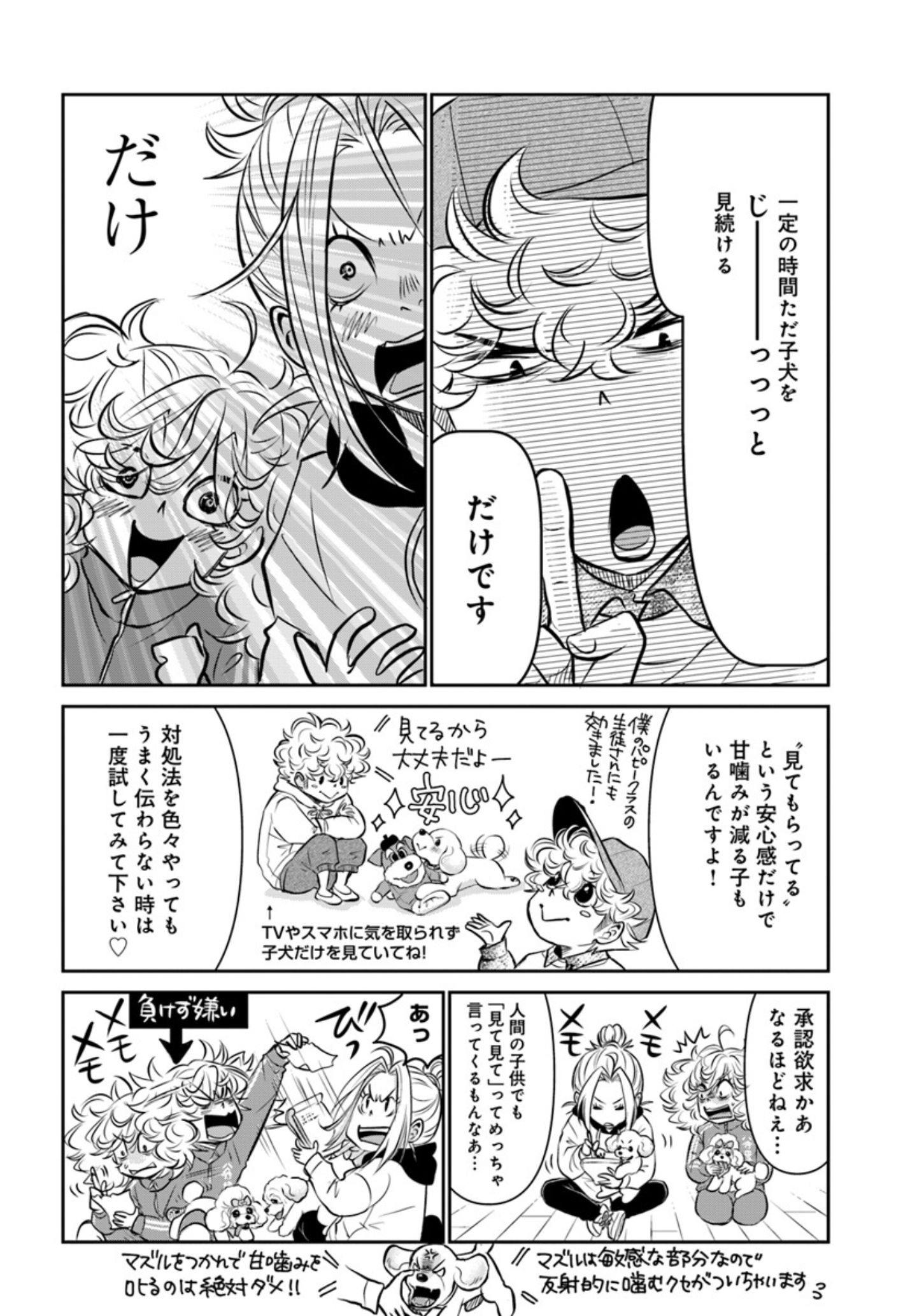 子犬でよくある問題行動のお悩み『DOG SIGNAL（ドッグシグナル）』49話目2/4