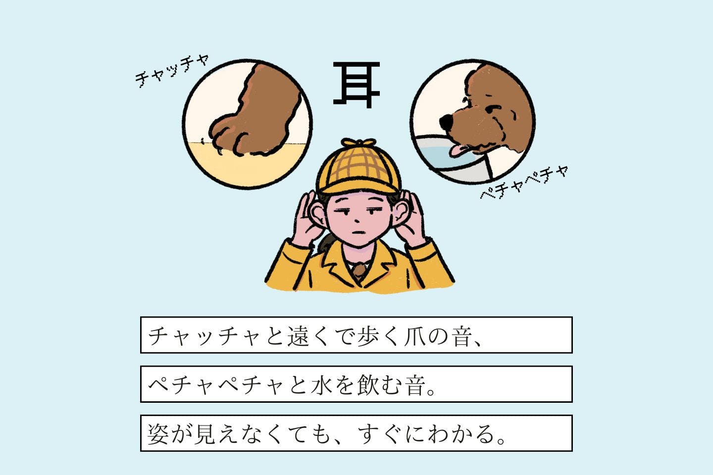 メイタンテイヌシの生態《変な飼いヌシ図鑑066》