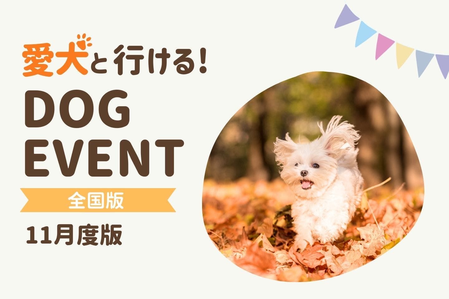 【2025年11月】愛犬と一緒に楽しめる全国のドッグイベント