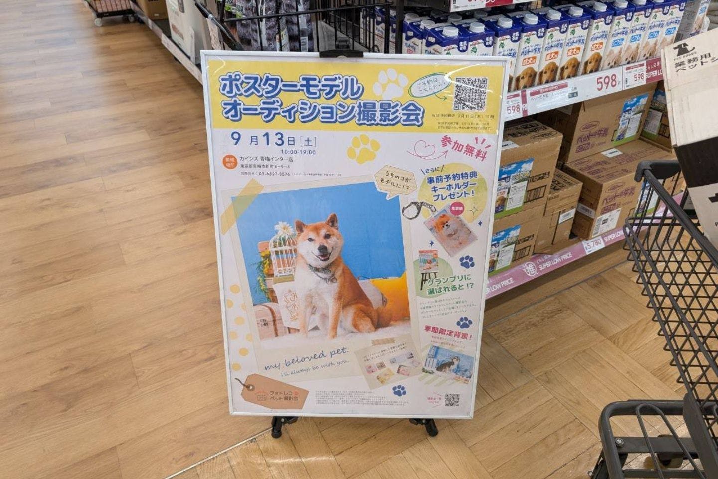 カインズのペット向け「ポスターモデルオーディション撮影会」 カインズのペット向け「ポスターモデルオーディション撮影会」
