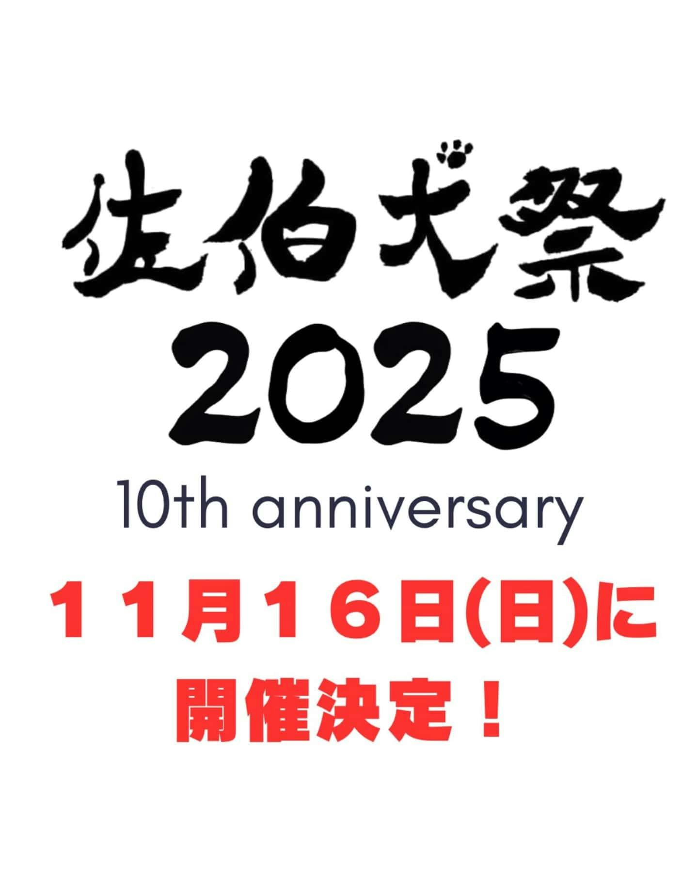 【2025/11/16】佐伯犬祭 2025 10th anniversary（大分）