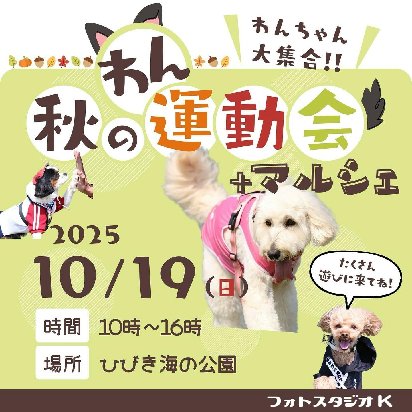 【2025/10/19】秋のわん運動会&マルシェ(福岡) 【2025/10/19】秋のわん運動会&マルシェ(福岡)