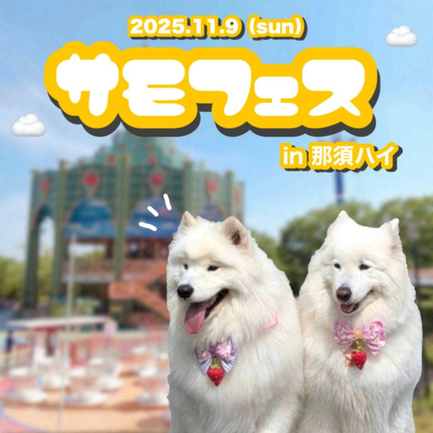 【2025/11/9】サモフェスin那須ハイ（栃木）