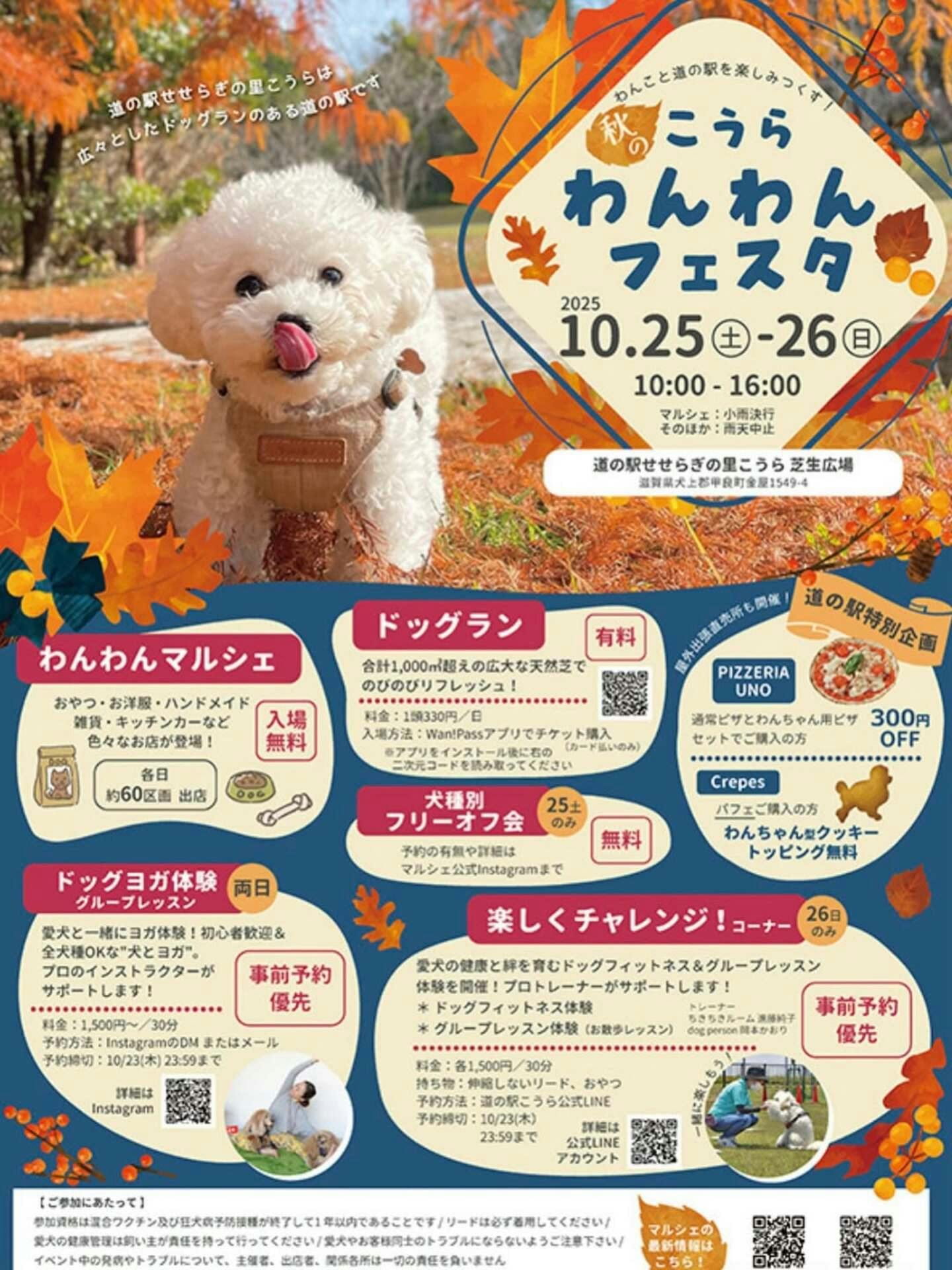 【2025/10/25・10/26に滋賀県で開催】こうらわんわんフェスタ 【2025/10/25・10/26に滋賀県で開催】こうらわんわんフェスタ