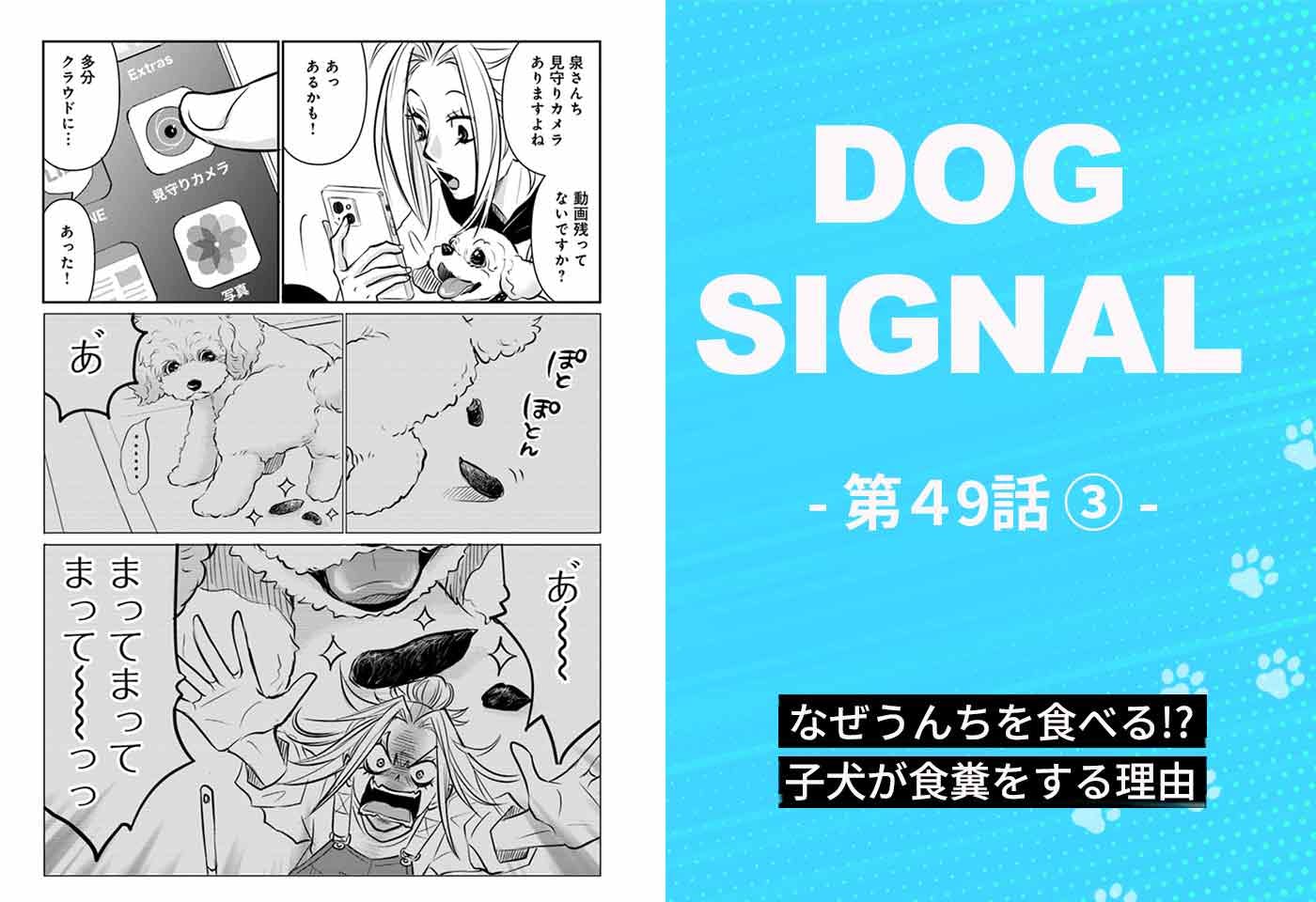 漫画『DOG SIGNAL（ドッグシグナル）』49話目3/4　子犬が食糞をする5つの主な原因