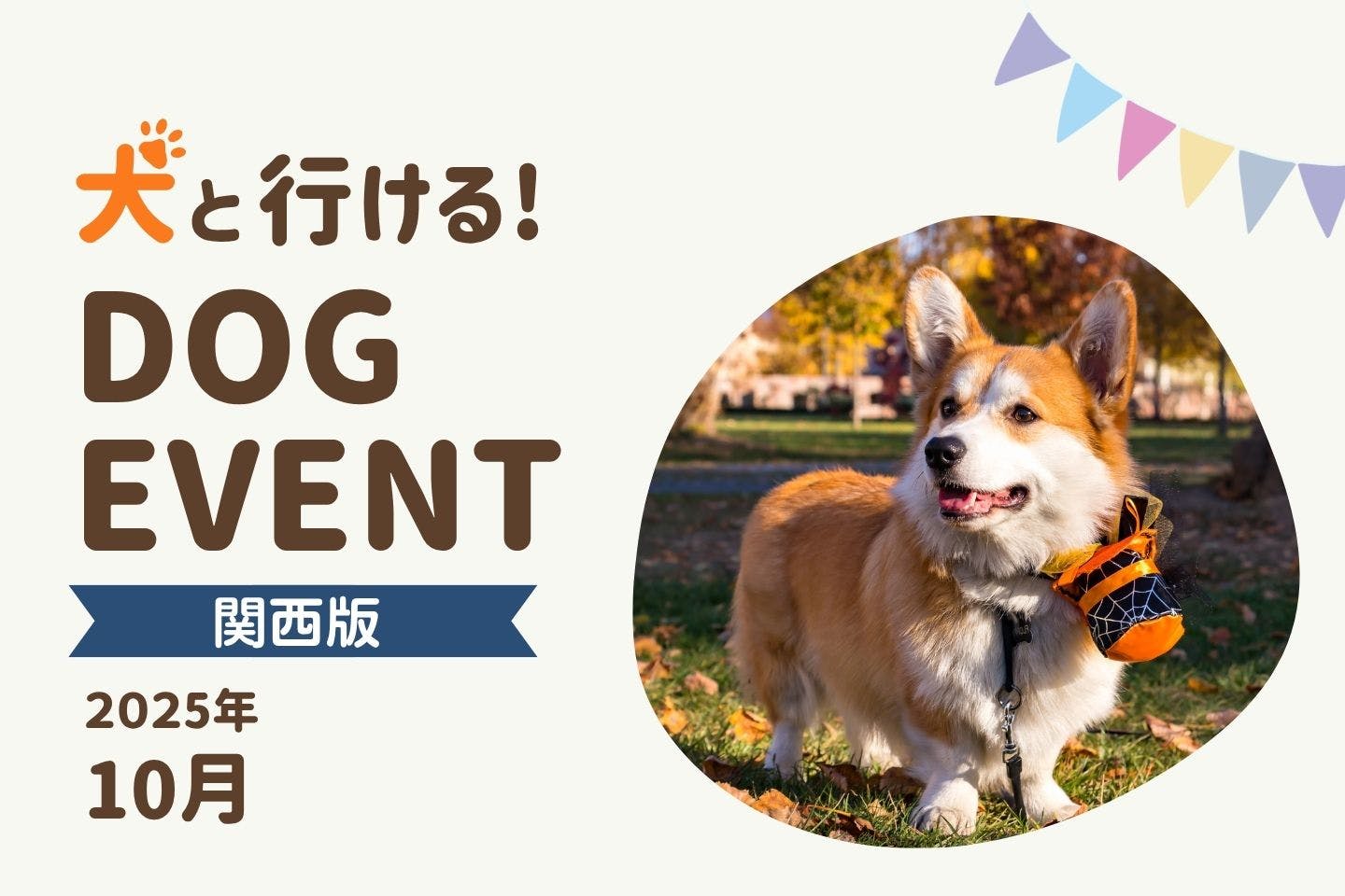 【2025年10月関西版】今月愛犬と一緒に楽しめるドッグイベント