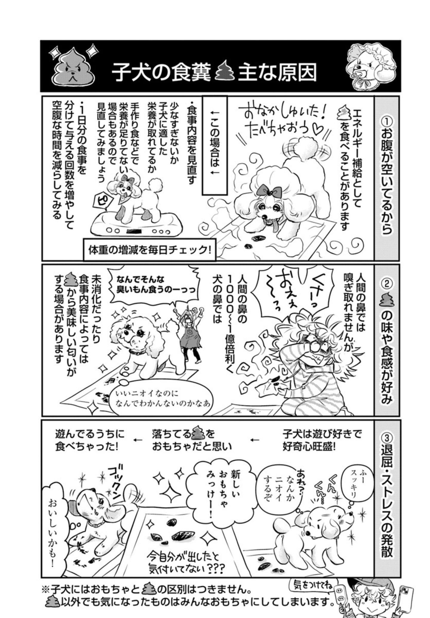 子犬が食糞する理由『DOG SIGNAL（ドッグシグナル）』49話目3/4