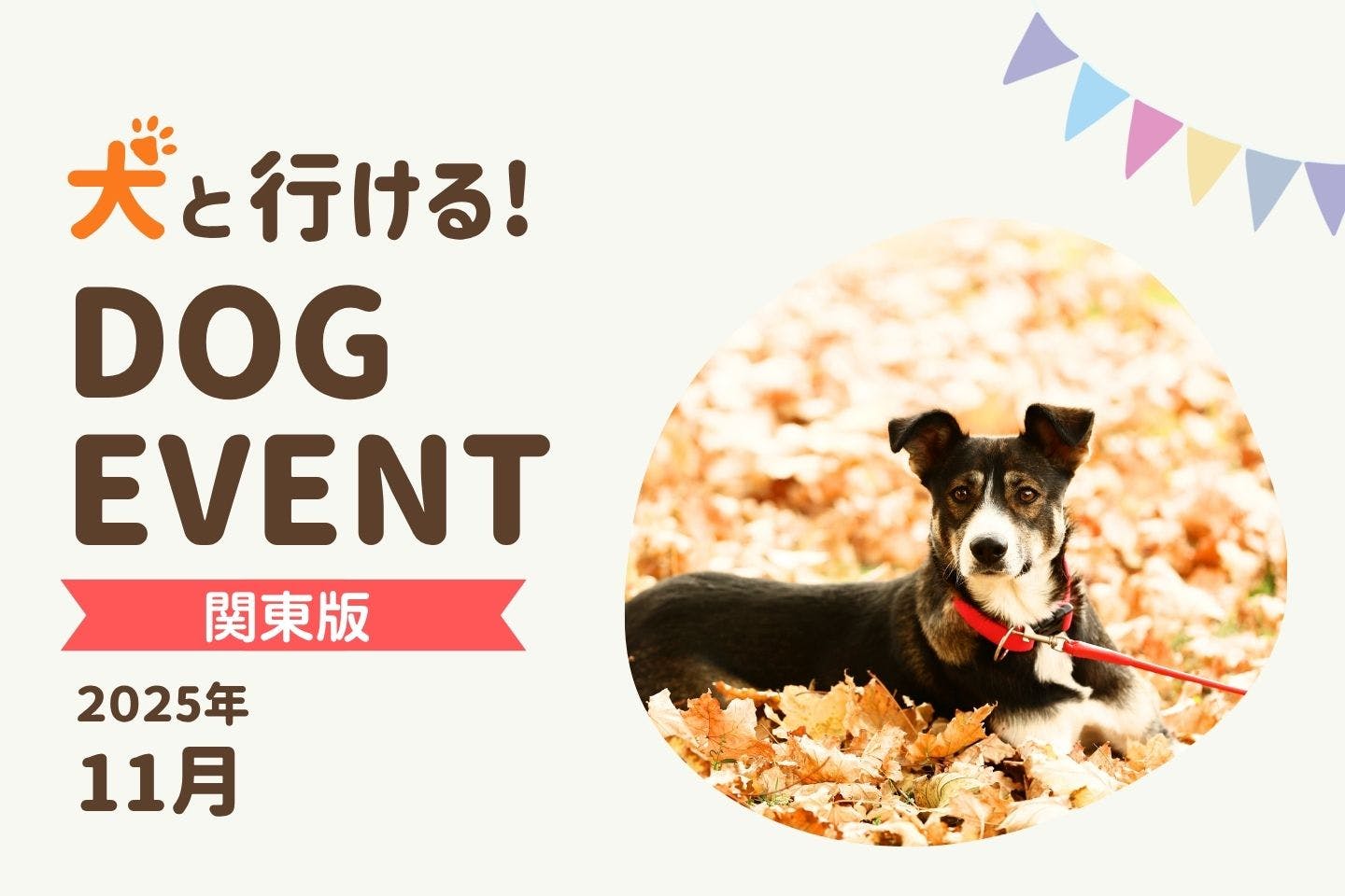 【2025年11月関東版】愛犬と一緒に楽しめるドッグイベント