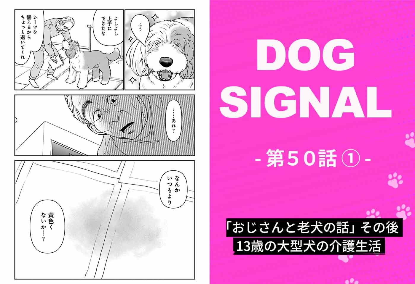 漫画『DOG SIGNAL（ドッグシグナル）』50話目1/4　13歳になった大型犬の介護生活