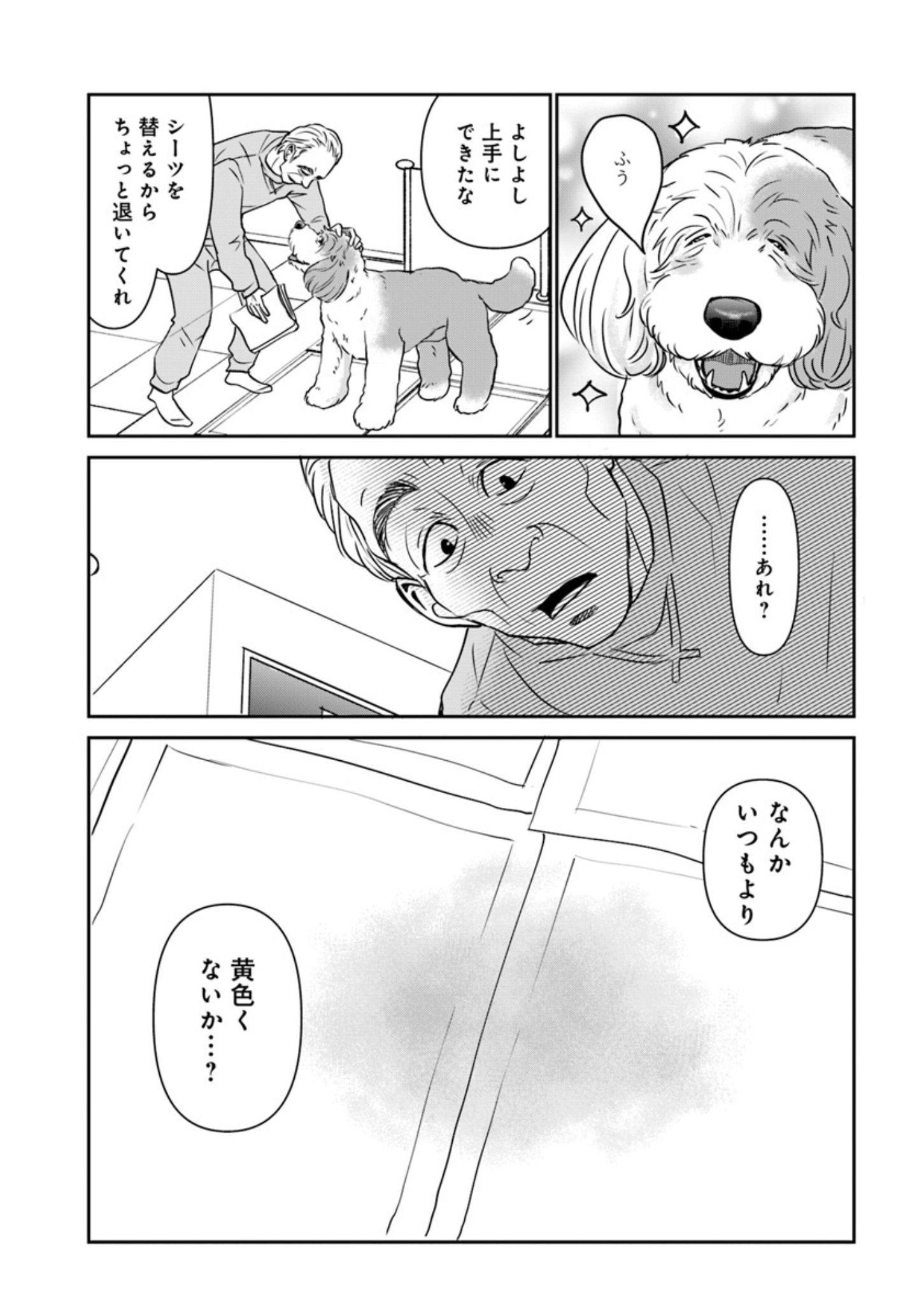 13歳の大型犬の介護生活『DOG SIGNAL(ドッグシグナル)』50話目1/4 13歳の大型犬の介護生活『DOG SIGNAL(ドッグシグナル)』50話目1/4