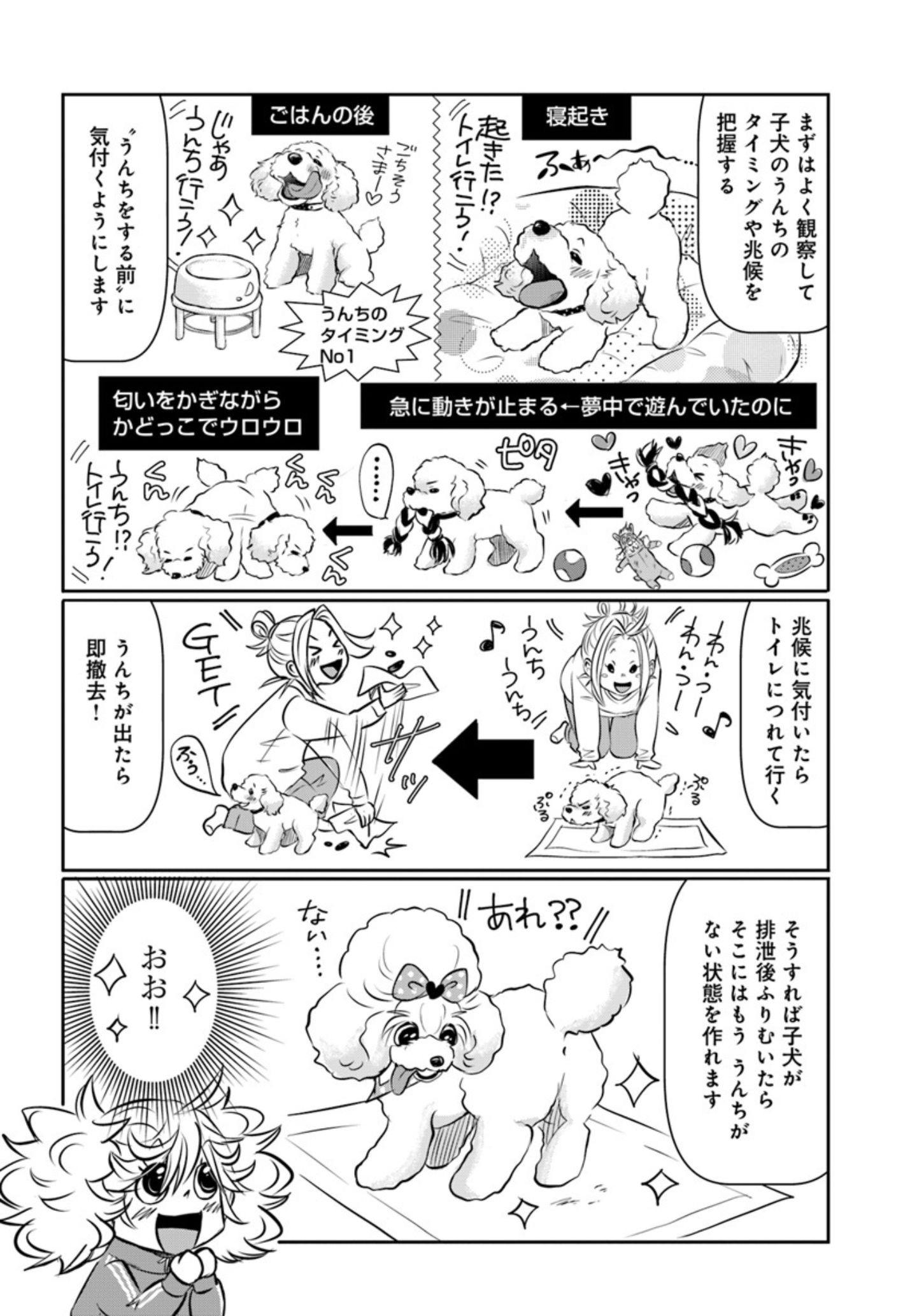 漫画『DOG SIGNAL（ドッグシグナル）』49話目4/4 コマンドが食糞防止に