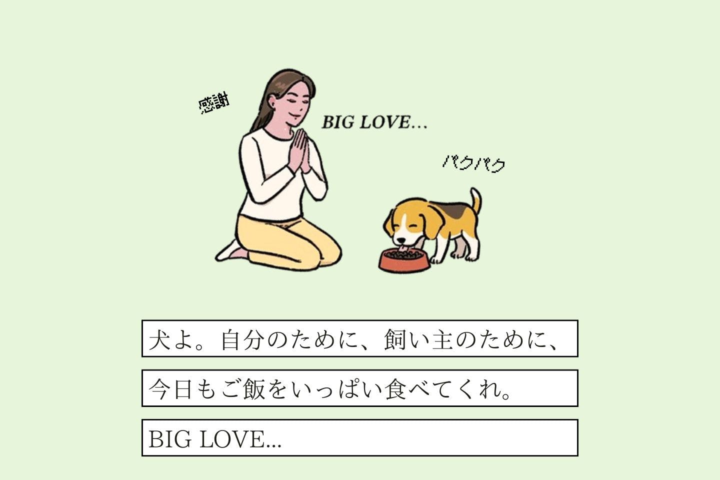 オデコクッツケヌシの生態《変な飼いヌシ図鑑053》 クチャラーカンゲイヌシの生態《変な飼いヌシ図鑑067》