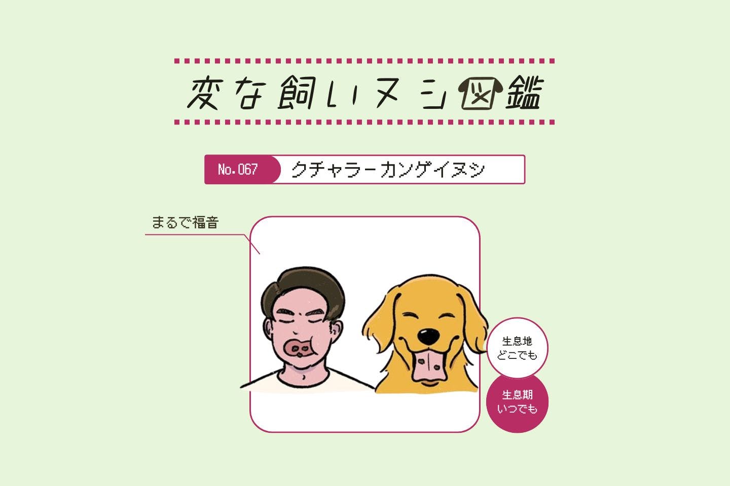 【変な飼いヌシ図鑑No.067】愛犬の咀嚼音を愛でる飼い主『クチャラーカンゲイヌシ』