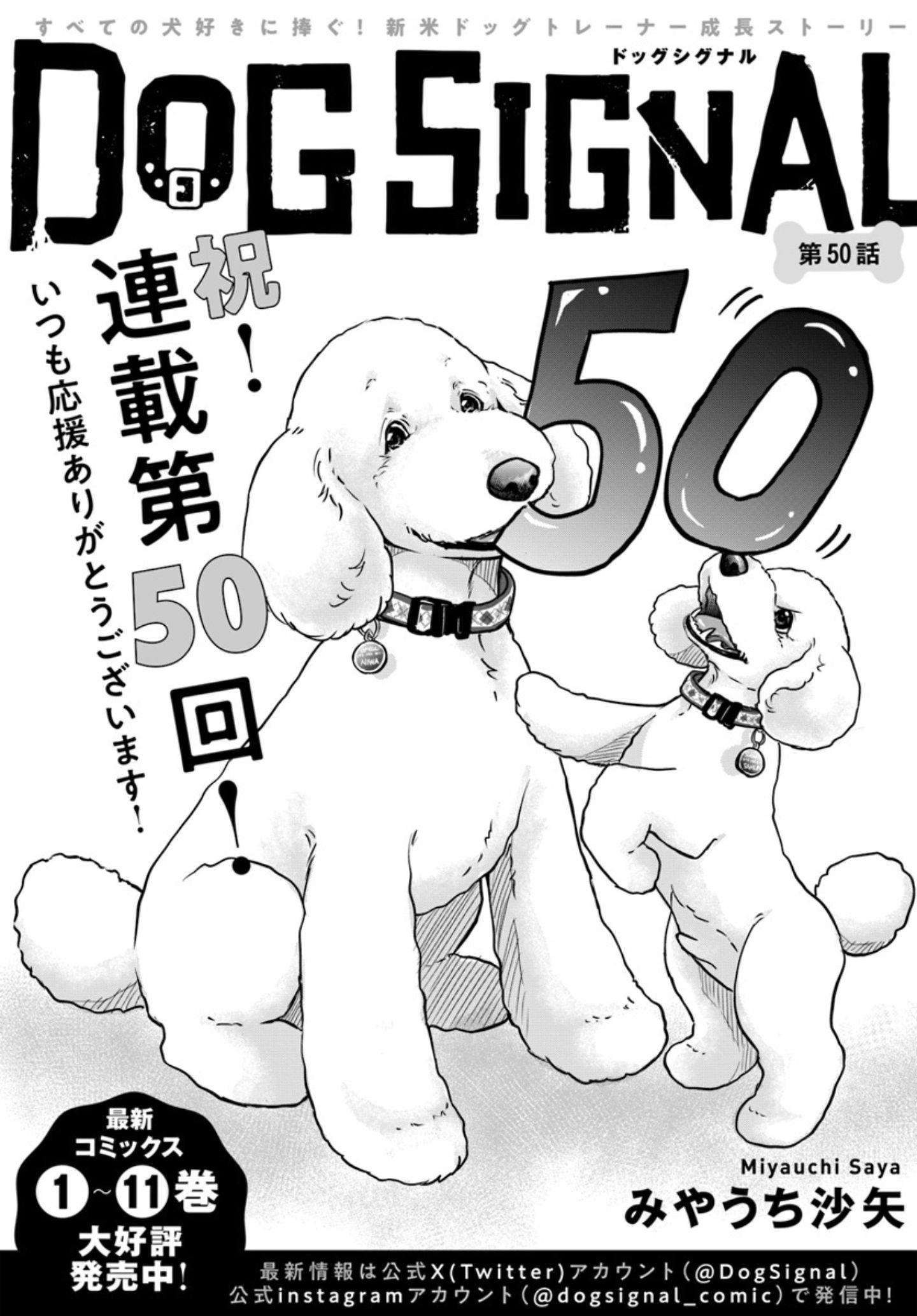 漫画『DOG SIGNAL（ドッグシグナル）』50話目1/4 13歳になった大型犬の
