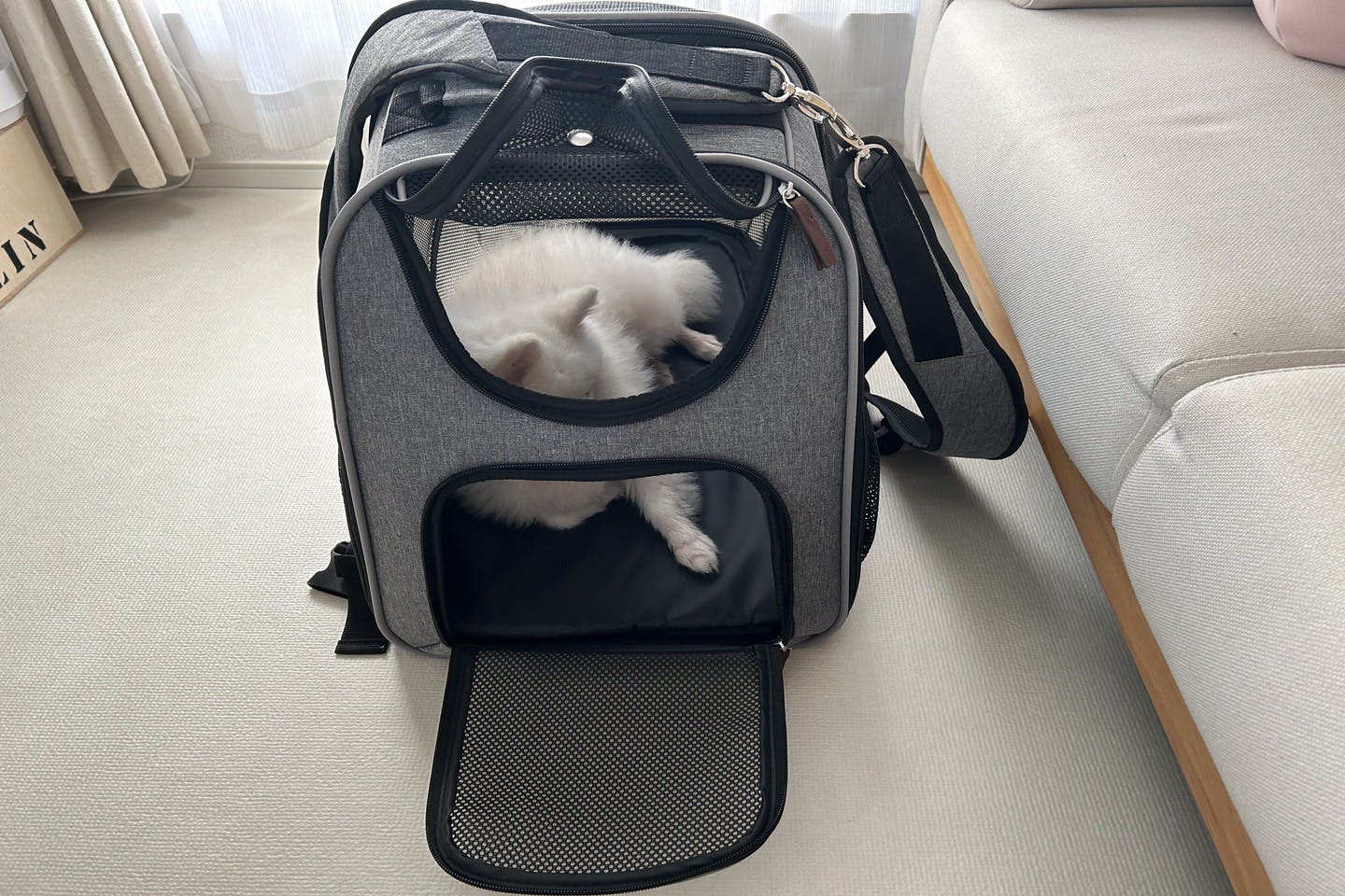 緊急時や愛犬の日常使いにも役立つ「ケージになる折りたたみペットリュック」 犬も猫も使える! 「ケージになる折りたたみペットリュック」使用レビュー