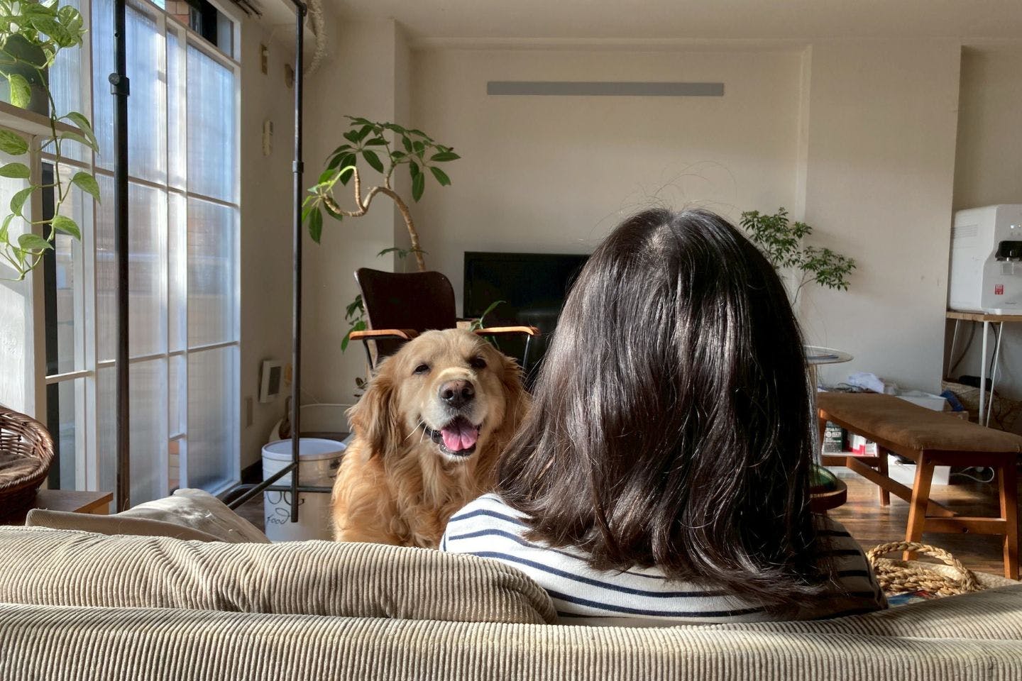 中学生の娘と愛犬レイル
