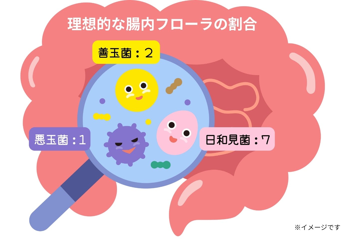 腸内フローラとは