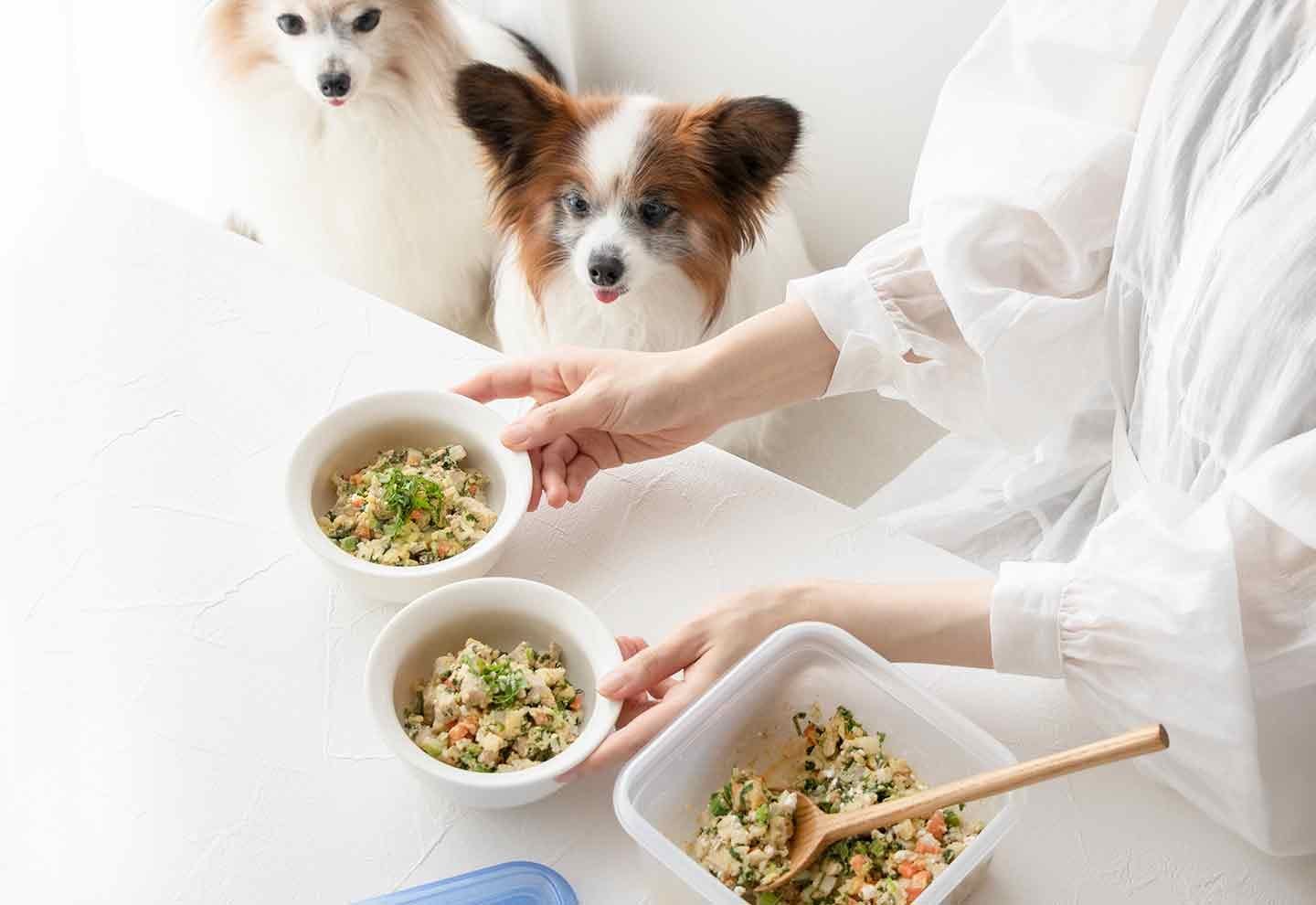 ツナ（マグロ）を使った犬用おやつや手づくりフードのレシピ