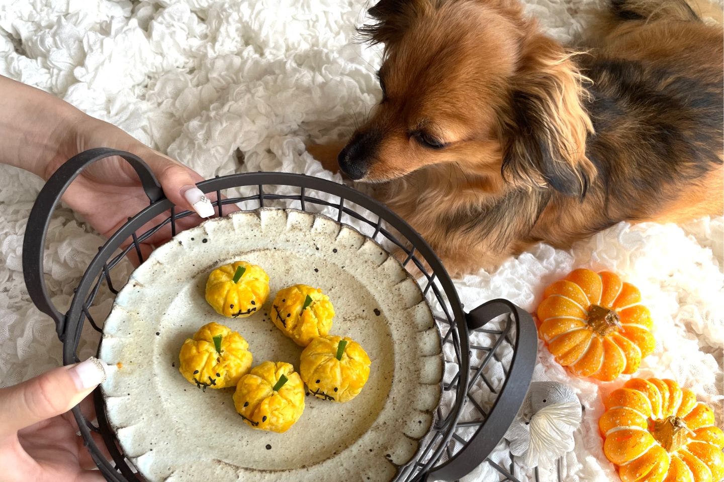 愛犬用ハロウィンおやつに! ジャックオランタン風スイートポテト【カインズ愛犬レシピ】