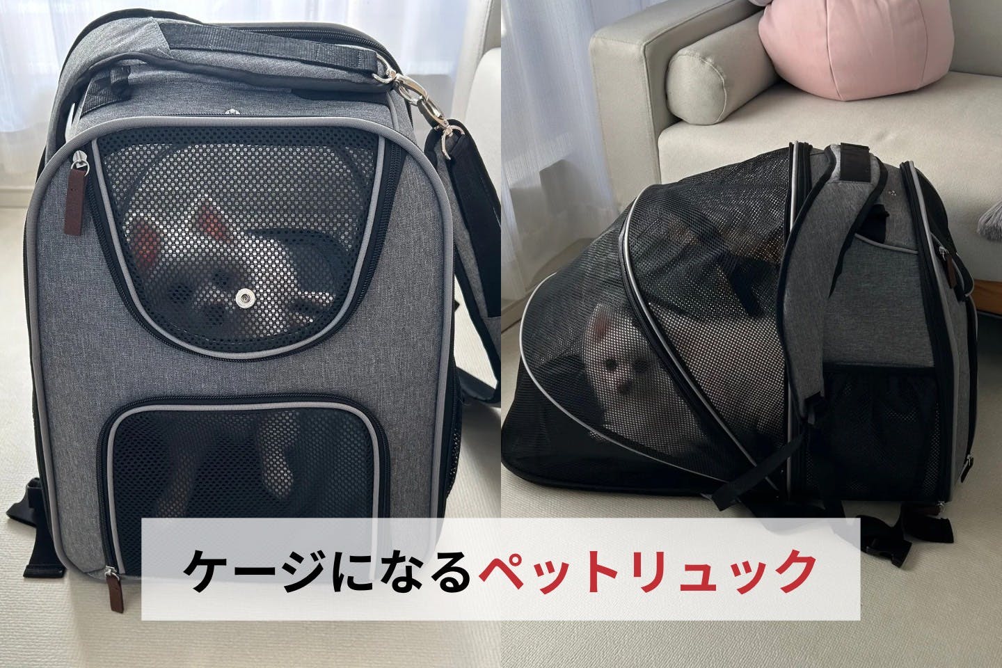 持ち運べる愛犬ハウス、見つけた。おでかけや防災にも使える、カインズの「ケージになる折りたたみペットリュック」