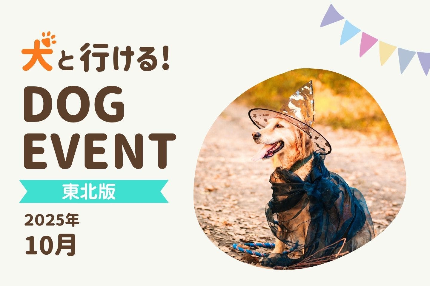 【2025年10月東北版】今月愛犬と一緒に楽しめるドッグイベント