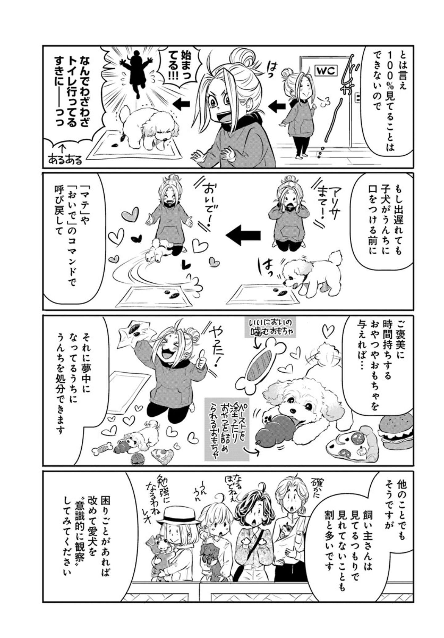 両親の経営する犬舎の実態『DOG SIGNAL(ドッグシグナル)』46話目3/4 コマンドで食糞防止『DOG SIGNAL(ドッグシグナル)』49話目4/4