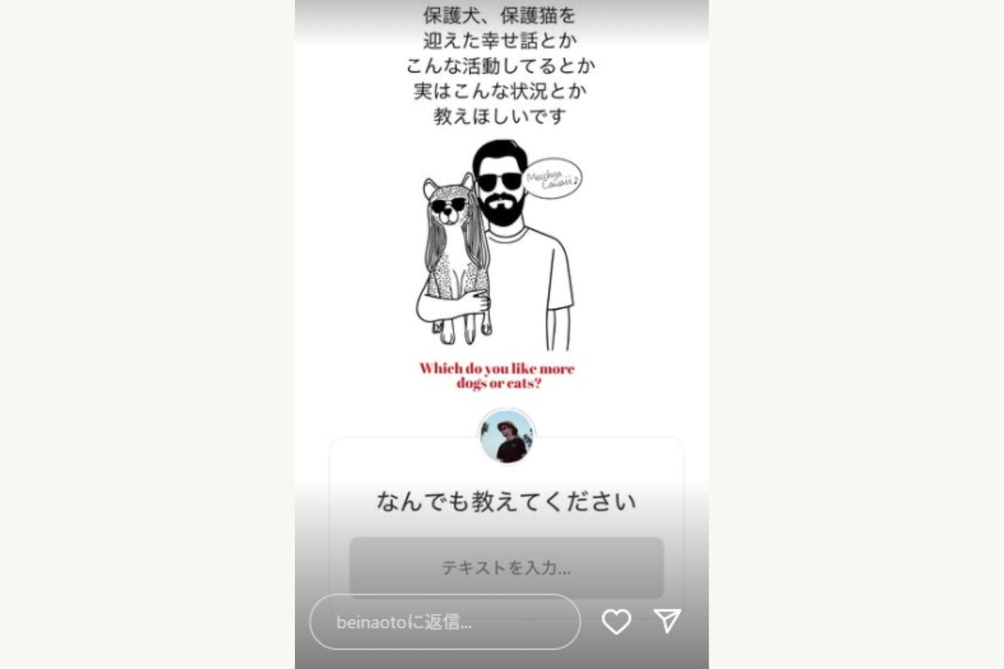 保護犬や保護猫の情報を集めるためのストーリーズ