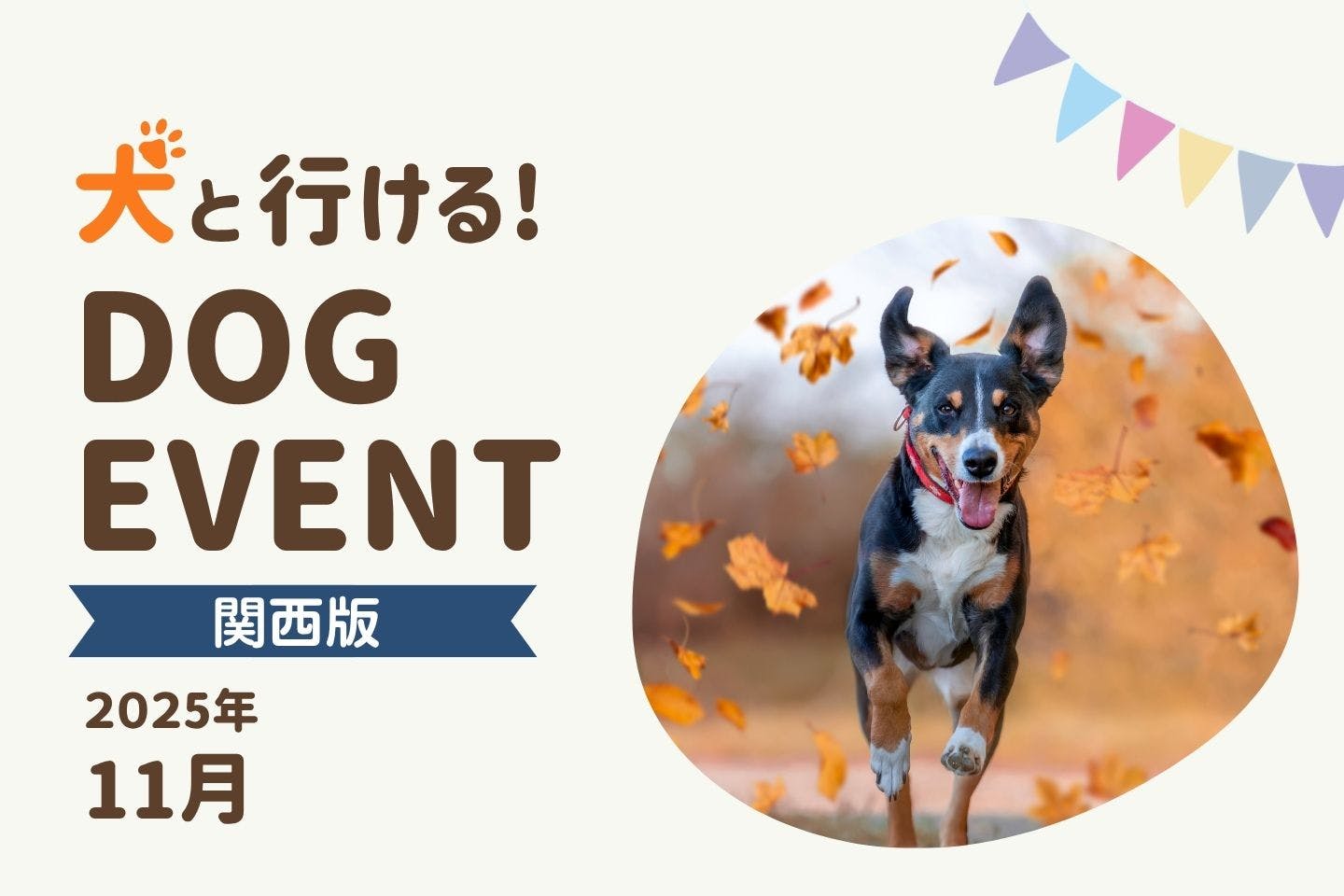 【2025年11月関西版】愛犬と一緒に楽しめるドッグイベント