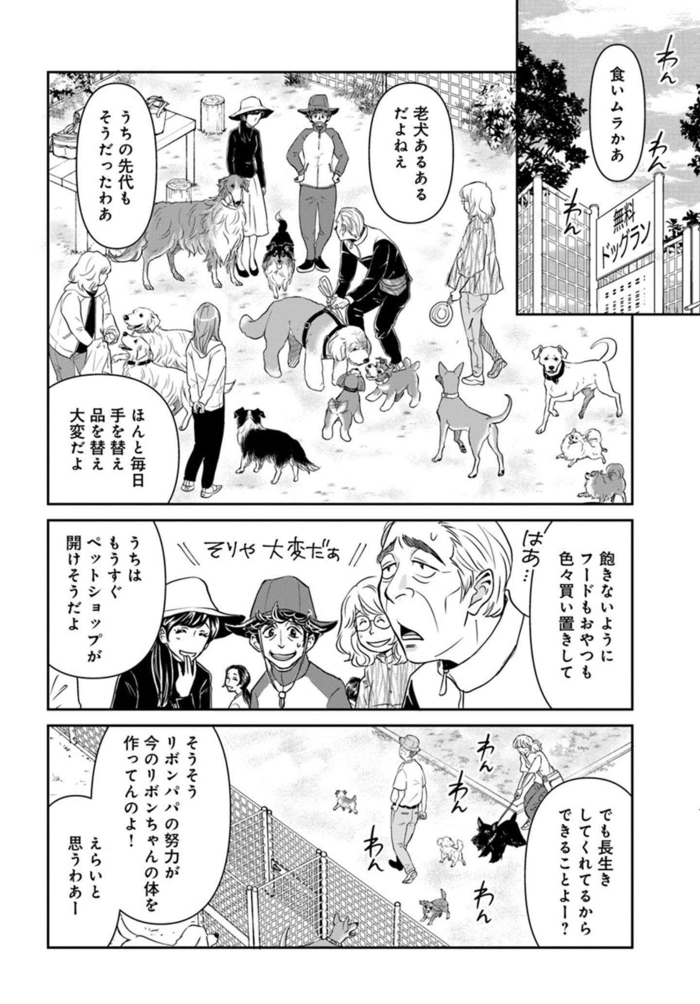 13歳の大型犬の介護生活『DOG SIGNAL（ドッグシグナル）』50話目1/4