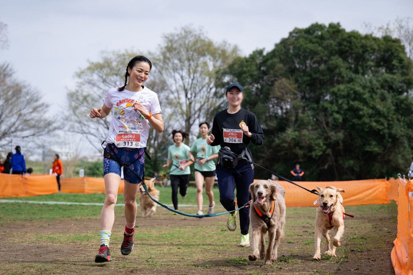 カニクロスの大会で走るsahoさんとタディちゃん カニクロスの大会で走るsahoさんとタディちゃん