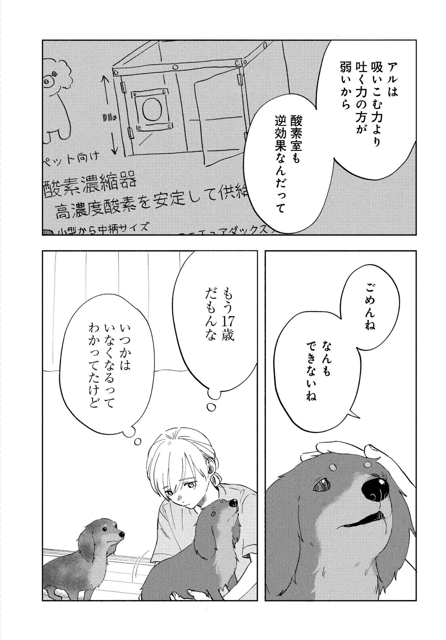 最愛のきみへ。 漫画『アルへ』