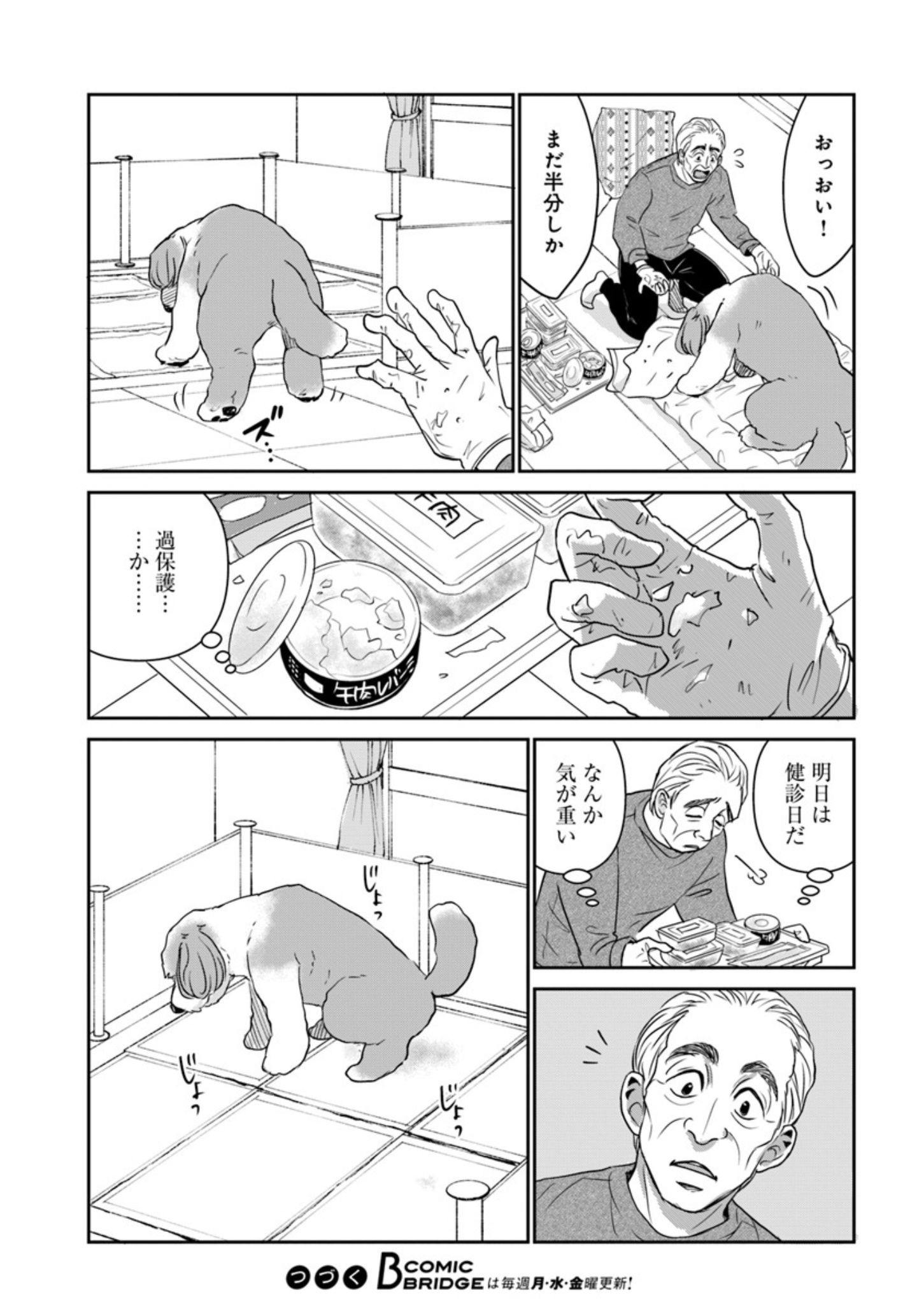 13歳の大型犬の介護生活『DOG SIGNAL(ドッグシグナル)』50話目1/4 自称ベテラン飼い主が指摘『DOG SIGNAL(ドッグシグナル)』50話目2/4