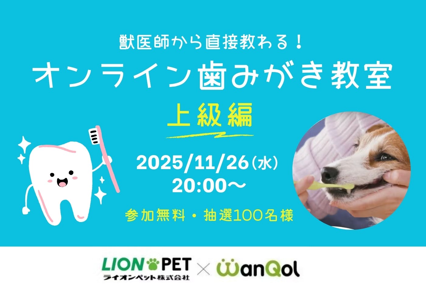 大人気！獣医師直伝のオンライン歯みがき教室 《第4回・上級編》が開催決定！