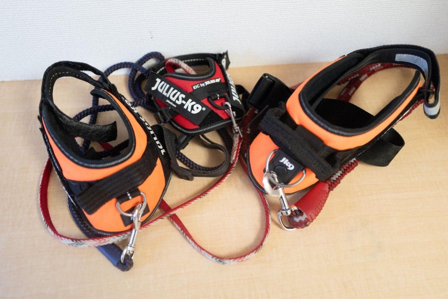 犬のリード 犬のリード